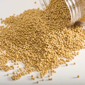 Organic Yellow Mustard Seeds (Bold)